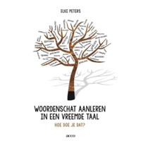 Woordenschat aanleren in een vreemde taal (Paperback) - thumbnail