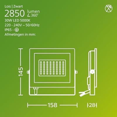 Philips LED Lois 929004641901 LED-buitenschijnwerper 30 W Lichtkleur (naam): Koudwit