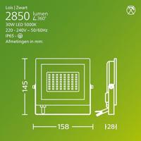 Philips LED Lois 929004641901 LED-buitenschijnwerper 30 W Lichtkleur (naam): Koudwit - thumbnail