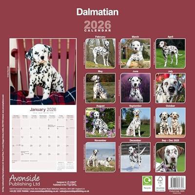 Dalmatier Kalender 2026