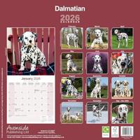 Dalmatier Kalender 2026 - thumbnail