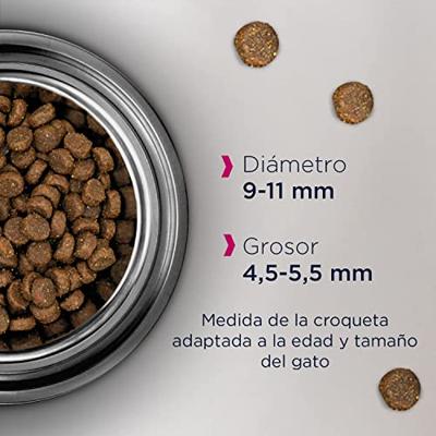 Eukanuba Adult kip kattenvoer 2 x 10 kg - thumbnail