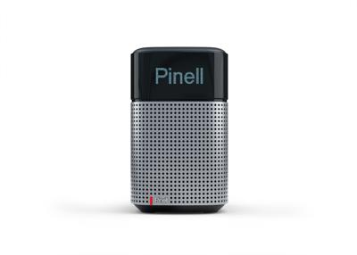 Pinell North Hybride radio Wit