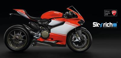 Skyrich lifepo4 batterij "hjtx5l-fp" battery hjtx5l-fp-si lithium