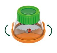 Terrarium groen - thumbnail