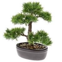 Zijdeplant Bonsai Cedar kunstplant Driesprong Collection - Driesprong collection - thumbnail