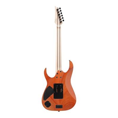 Ibanez Prestige RG5120M-PRT Polar Lights elektrische gitaar met koffer - thumbnail