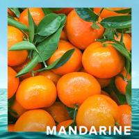 Cristiano Ronaldo CR7 Origins Eau de toilette 100 ml Heren - thumbnail