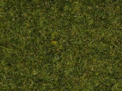 NOCH 8212 Strooigras Weide 1,5 mm, 20 g