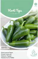 Zaden Peper Jalapeno Mexicaanse Hortitops - Hortitops - thumbnail