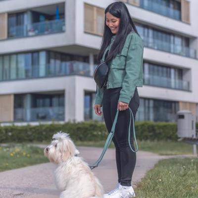 Hondenriem Trixie CityStyle Groen L/XL - thumbnail