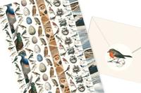Fauna (Paperback) - thumbnail