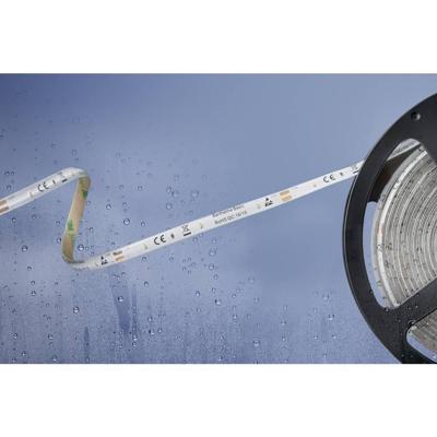 Barthelme 51540428 51540428 LED-strip Met open kabeleinde 12 V 5 m Warmwit 1 stuk(s) Barthelme 51540428 51540428 LED-strip Met open kabeleinde 12 V 5 m Warmwit 1 stuk(s)