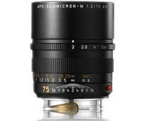 Leica 11637 APO-Summicron-M 75mm F/2.0 ASPH zwart - thumbnail