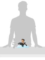 Black Panther Wakanda Forever Funko Pop Vinyl: Namor with Orca - thumbnail
