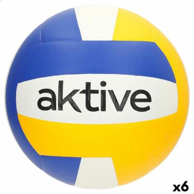Volleybal Aktive