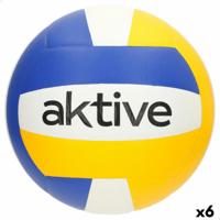 Volleybal Aktive - thumbnail