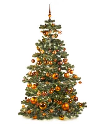 Basic Tree Warm Copper 210cm