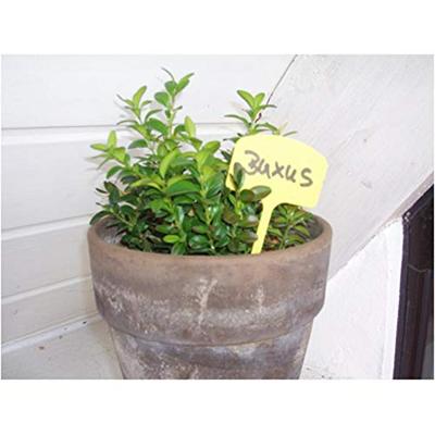 Moestuin Plaatetiketten 14cm - Geel - thumbnail