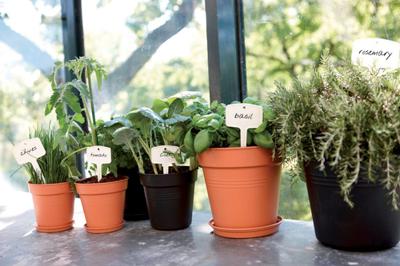 Bloempot Green basics kweekpot 13 cm living black - Elho - thumbnail