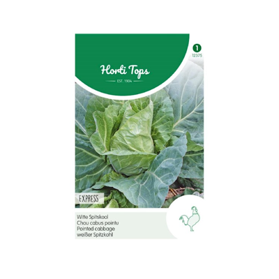 HT Wittekool Express, Vroege Spitse - Hortitops