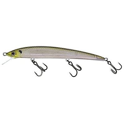 Molix Finder Jerk 11cm Lugano Shad (Suspending)