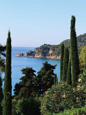 Cypressen bij zee 50x70cm Tuinschilderij Customize-it - Customize it