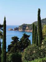 Cypressen bij zee 50x70cm Tuinschilderij Customize-it - Customize it - thumbnail