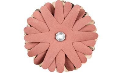 PFERD TOOLS 42732149 Schuursterren Diameter 90 mm 10 stuk(s)