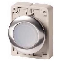 Eaton 182925 M30C-FDL-W Druktoets Plat, Rond, Verchroomd Knop Wit 1 stuk(s) Piece