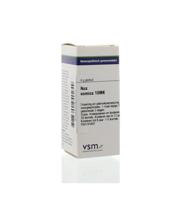Nux vomica 10MK - thumbnail