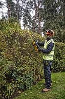 DeWalt DCMHT563P1 | Accu Heggenschaar | 18V | XR | 5,0Ah Li-Ion accu en lader - DCMHT563P1-QW - thumbnail