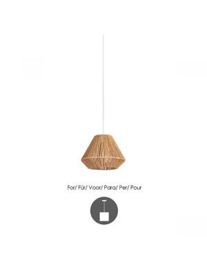 Besselink licht F618020-49 verlichting accessoire