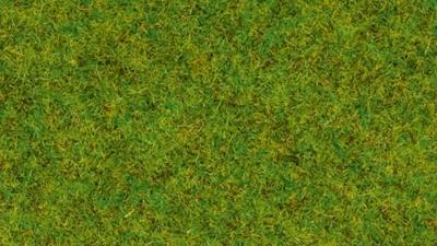 NOCH 8200 Strooigras Lentewei 1,5 mm, 20 g - thumbnail
