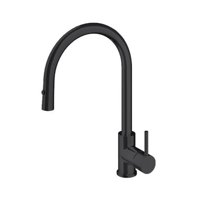 Hotbath Fellow keukenkraan met flexibele uittrekbare handdouche en draaibare uitloop zwart mat FKM14
