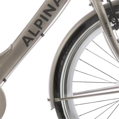 Alpina spatbord set 26 clubb gold met matt