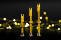 Peaty's 50to01 mk2 tubeless 42mm valves - thumbnail