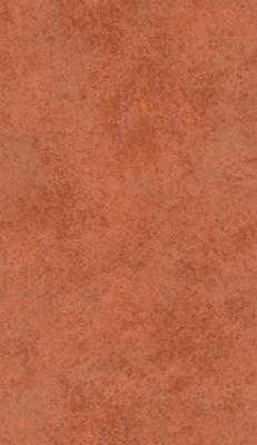 Emil & Hugo Moana 300689