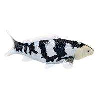 Mojo sealife koi karper - shiro utsuri koi - 381102 - thumbnail