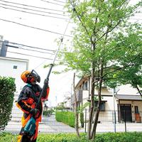 Makita DUA301PT2 | LXT 2x18 V | Telescopische accu stokkettingzaag | 30 cm | 5,0 Ah accu (2 st) | duo snellader | in doos DUA301PT2 - thumbnail