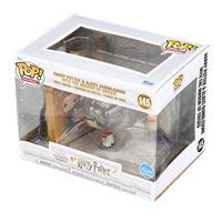 Harry Potter Funko Pop Vinyl: Harry Potter & Albus Dunbledore with the Mirror of Erised (special edition) - thumbnail