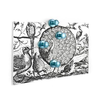 Trendform Magnet Mini-max - set van 4 - Blauw