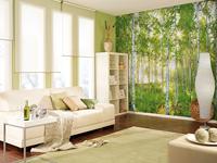 Komar Home; Komar Colours Fotobehang Sunday - 8-519 - thumbnail