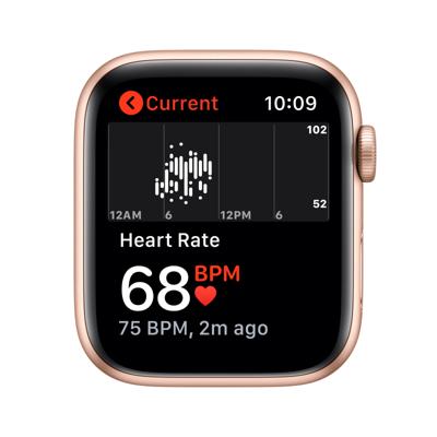 Apple Watch SE 44mm (2020) / SV