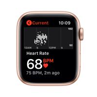 Apple Watch SE 44mm (2020) / SV - thumbnail