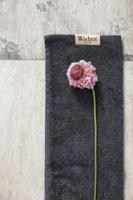 Walra gastendoek soft cotton antraciet 30x50 cm set van 2 - thumbnail