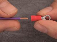 Quadrios 22C444 Ringkabelschoen Dwarsdoorsnede (max.): 1.5 mm² Schachtdiameter: 8.5 mm Deels geïsoleerd Rood 1 set(s) - thumbnail