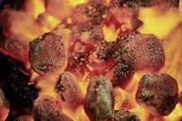 Briketten 4 kg Weber - Weber - thumbnail