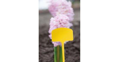 Nature Plaatetiketten h14cm 10 stuks