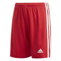 Sportbroeken voor Kinderen Adidas Squad 21 Y Rood Maat 5-6 Jaar - thumbnail